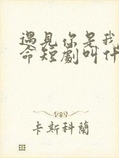 遇见你是我的宿命短剧叫什么名字