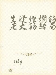 生逢灿烂的日子老大的结局