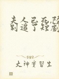 夫人已死,陆总别追了短剧在线观看