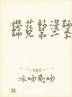 樱花动漫师兄啊师兄第二季