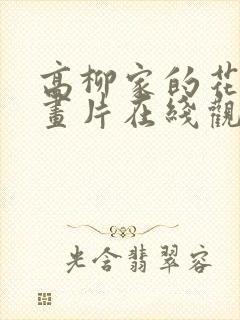 高柳家的花嫁动画片在线观看