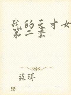 我的天才女友 第二季