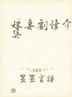 娘妻剧情介绍分集