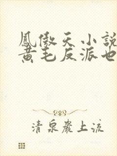 凤傲天小说里的黄毛反派也想幸福沐恩封面