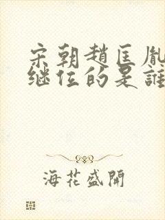 宋朝赵匡胤后代继位的是谁