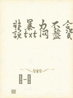 非暴力不合作小说txt网盘资源