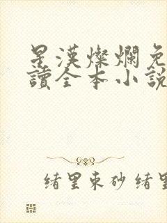 星汉灿烂免费阅读全本小说