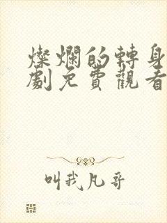 灿烂的转身电视剧免费观看全集高清