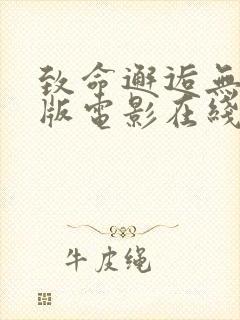 致命邂逅无删减版电影在线完整版