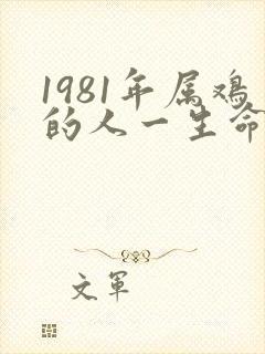 1981年属鸡的人一生命运如何