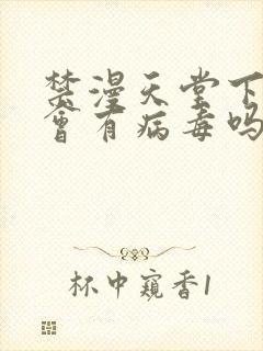 禁漫天堂下载后会有病毒吗