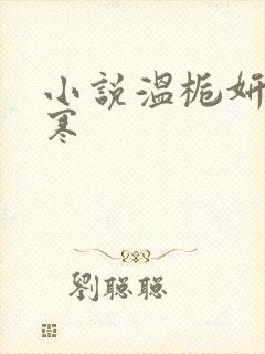 小说温栀妍沈霁寒