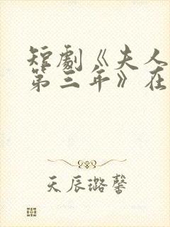 短剧《夫人走的第三年》在线观看