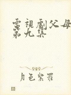 电视剧父母爱情第九集