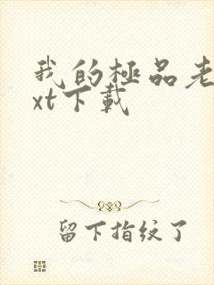 我的极品老婆txt下载