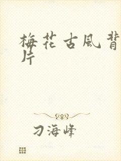 梅花古风背景图片封面