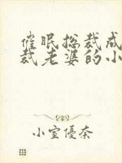 催眠总裁成为总裁老婆的小说