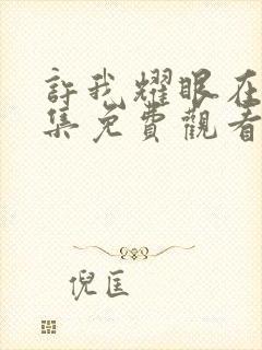 许我耀眼在线全集免费观看电视剧