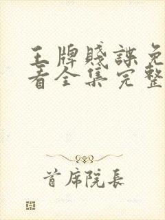 王牌贱谍免费观看全集完整版