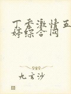 丁香激情五月婷婷综合网