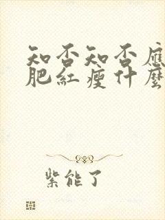 知否知否应是绿肥红瘦什么意思李清照