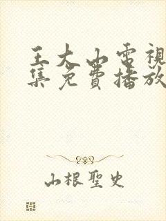 王大山电视剧全集免费播放