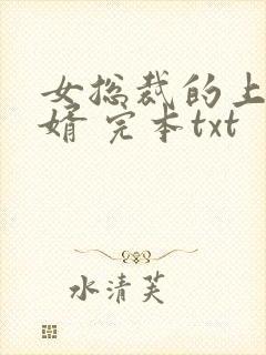 女总裁的上门龙婿 完本txt