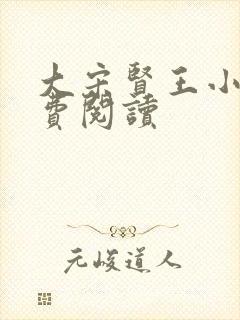 大宋贤王小说免费阅读