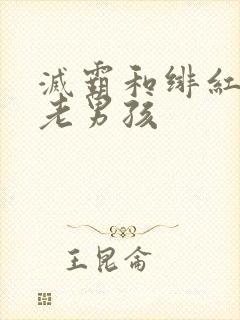 灭霸和绯红女巫老男孩封面