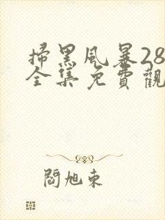 扫黑风暴28集全集免费观看完整版