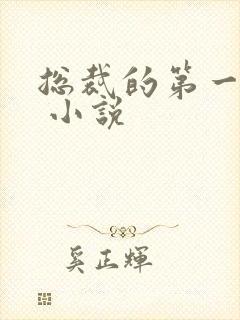 总裁的第一宠妻 小说