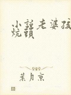 小说老婆孩子热炕头