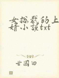 女总裁的上门龙婿小说txt