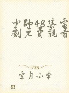 少帅48集电视剧免费观看高清