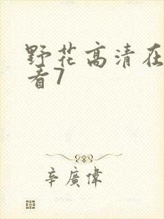 野花高清在线观看7