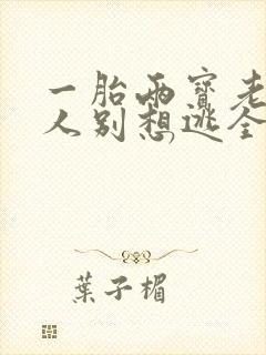 一胎两宝老婆大人别想逃全文免费阅读