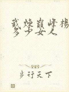 武炼巅峰杨开有多少女人封面