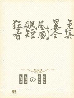 狂飙风暴免费观看短剧全集