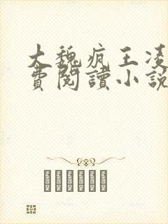 大魏疯王凌宁免费阅读小说