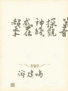 超感神探 第2季在线观看全集免费播放