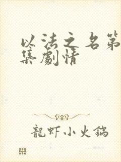 以法之名第30集剧情