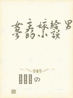 女主嫁给男主他爹的小说