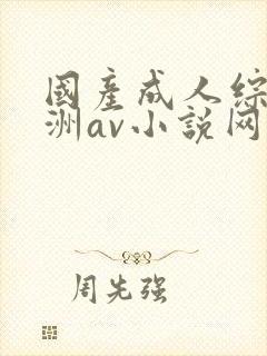 国产成人综合亚洲av小说网站