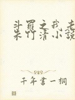 斗罗之我老婆是朱竹清小说