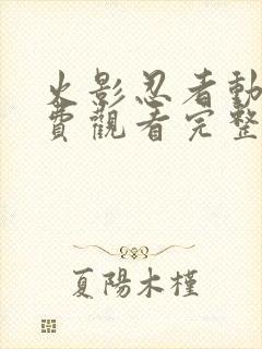 火影忍者动漫免费观看完整在线