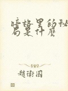 暗格里的秘密结局是什么