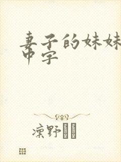 妻子的妹妹电影中字封面