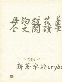 母狗校花养成记全文阅读笔趣阁封面