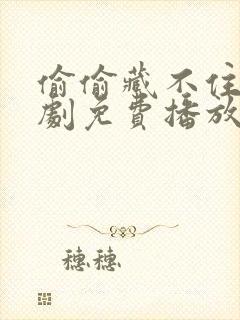 偷偷藏不住电视剧免费播放西瓜网