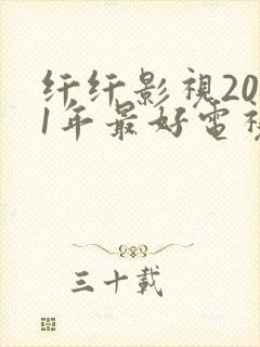 纤纤影视2021年最好电视剧功